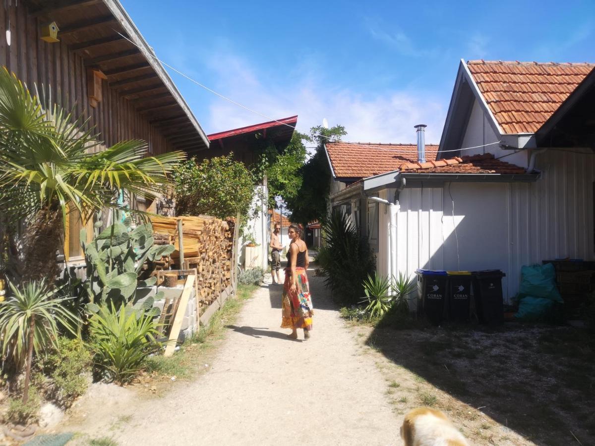 La Cabane Du Truquet Lège-Cap-Ferret 외부 사진